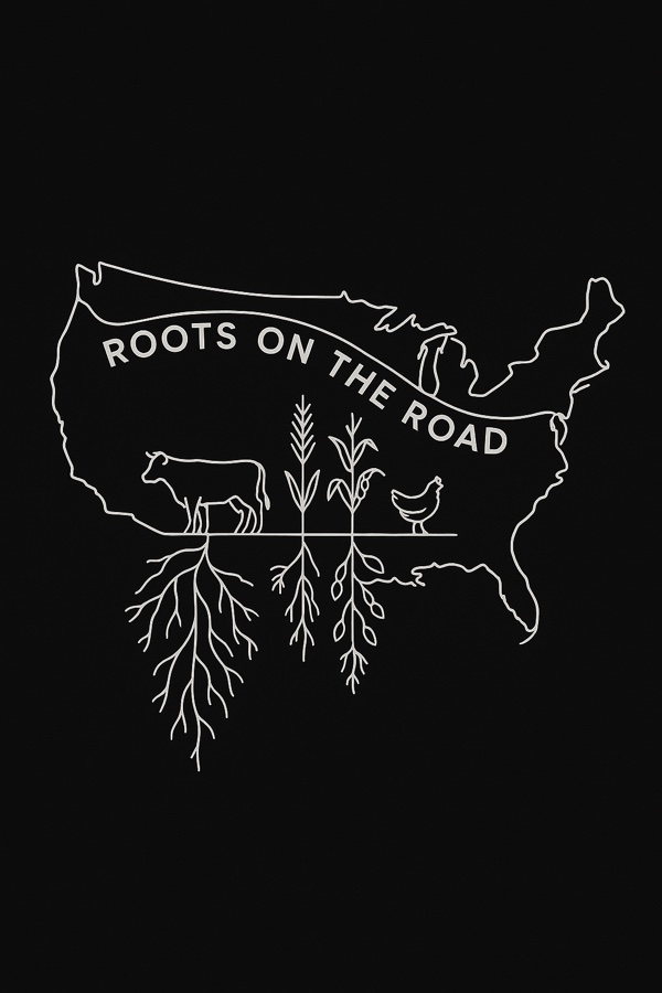 Back — Continuous Line on black