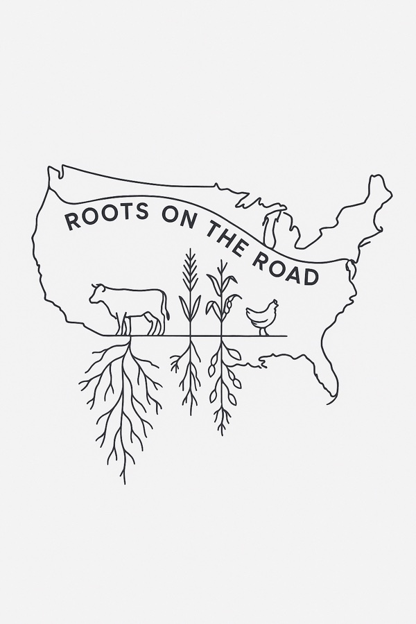 Back — Continuous Line on white