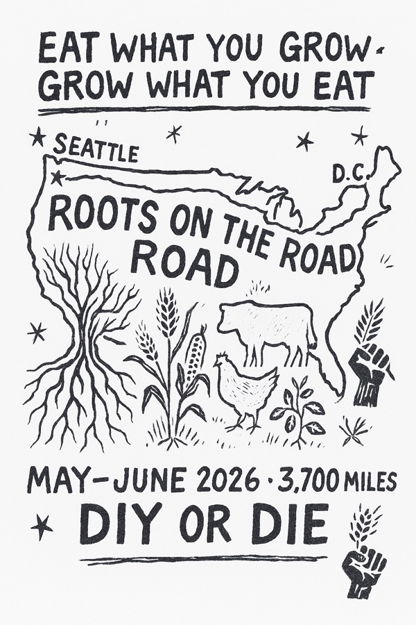 Back — Punk Zine on white